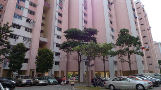 Blk 104 Bukit Purmei Road (Bukit Merah), HDB 3 Rooms #256542